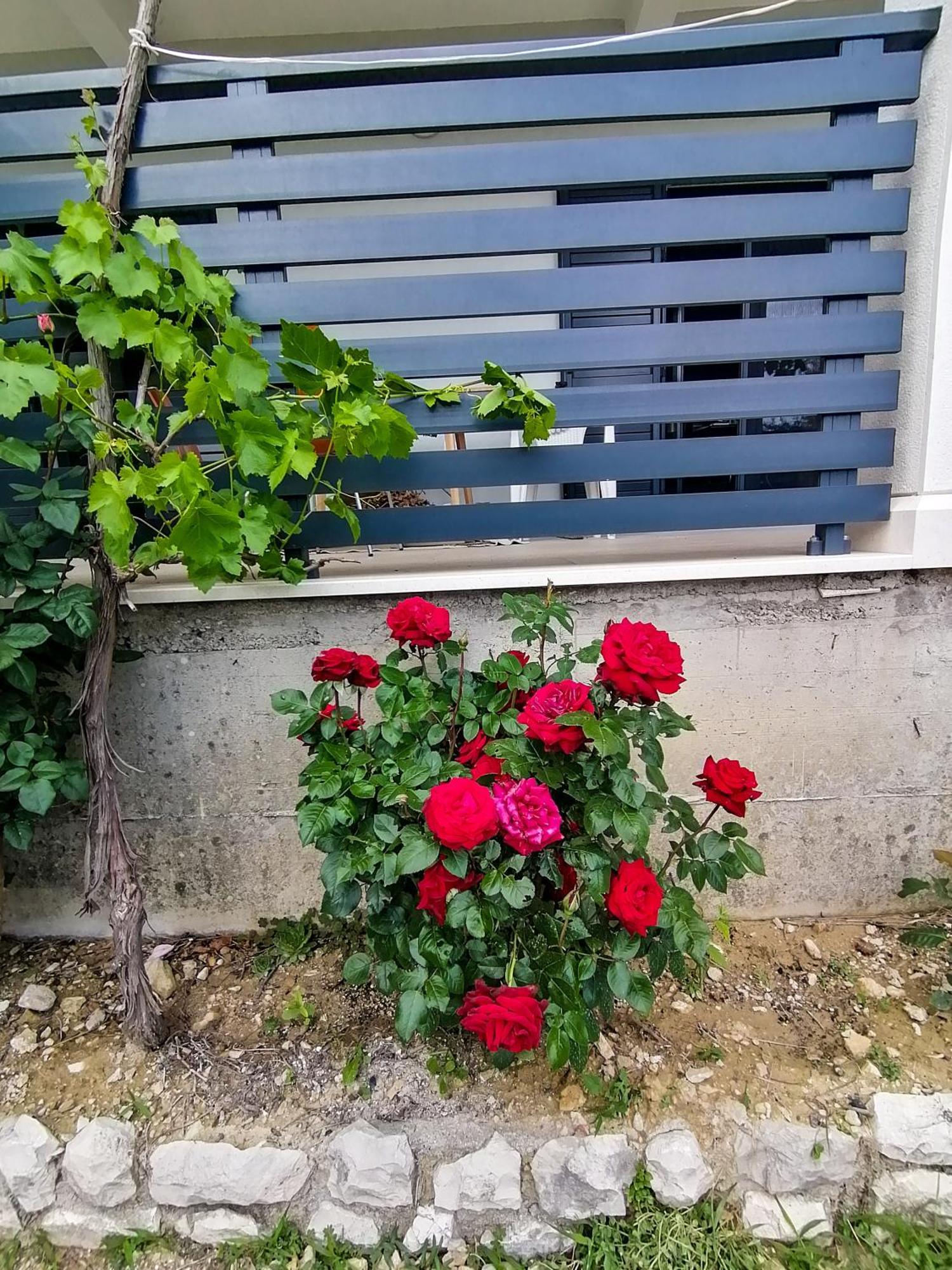 Vila Dolani Klek Zewnętrze zdjęcie